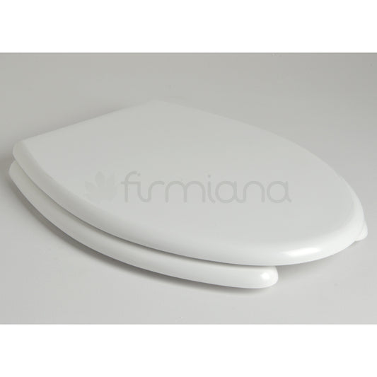 Siège de toilette adapté aux personnes handicapées