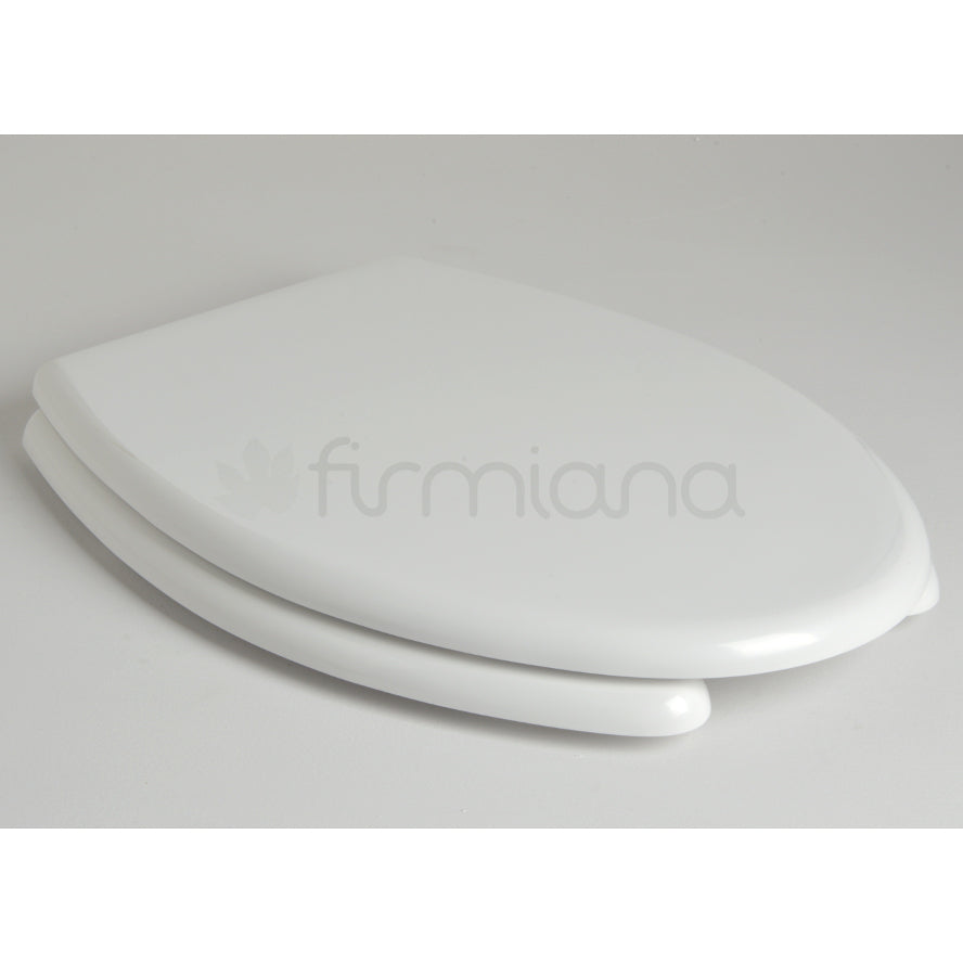 Behindertengerechter Toilettensitz