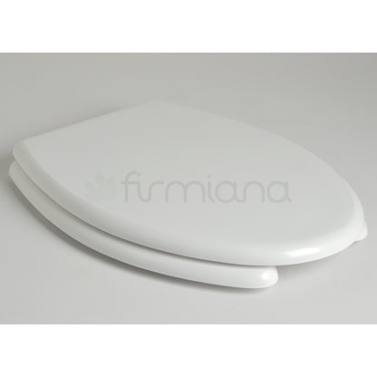 Behindertengerechter Toilettensitz