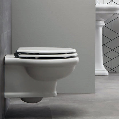 Vaso Wc Sospeso Paolina