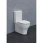 Vaso monoblocco con cassetta di scarico cm 62,5x35xh80 Pratica